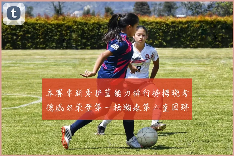 本赛季新秀护筐能力排行榜揭晓考德威尔荣登第一杨瀚森第六奎因跻身前十